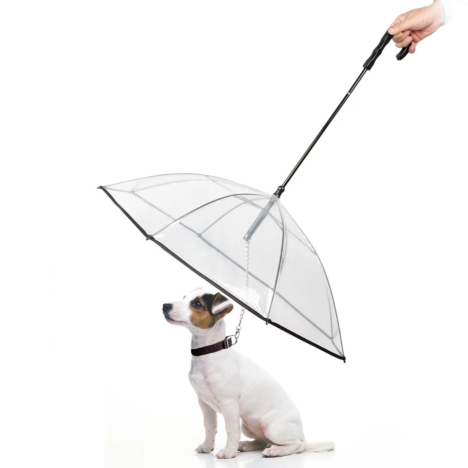 dog leash umbrella