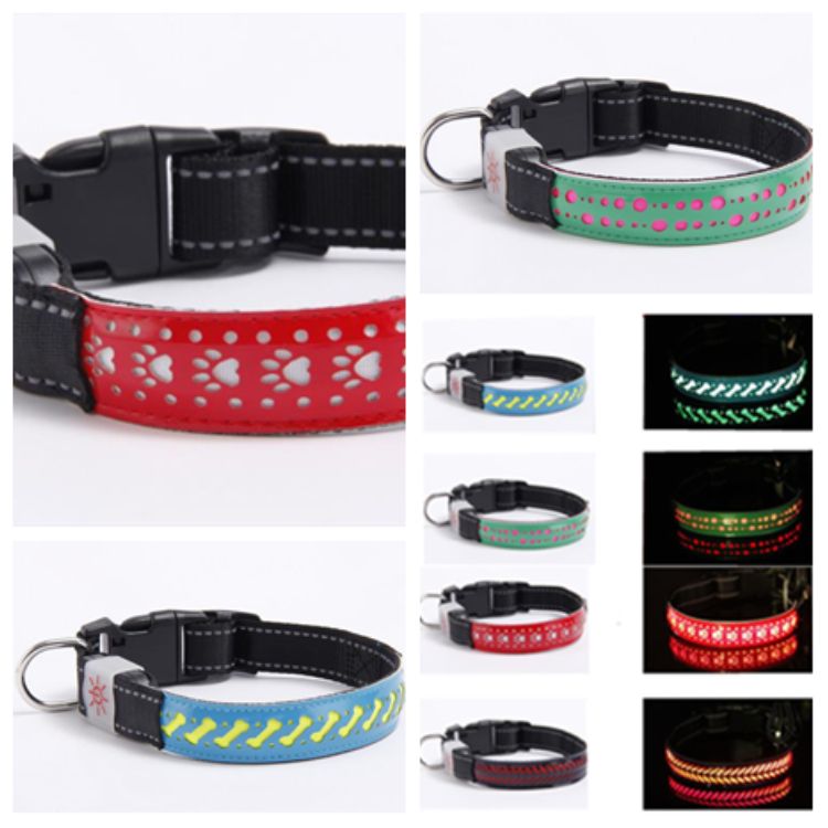 stylish dog collars and leashes