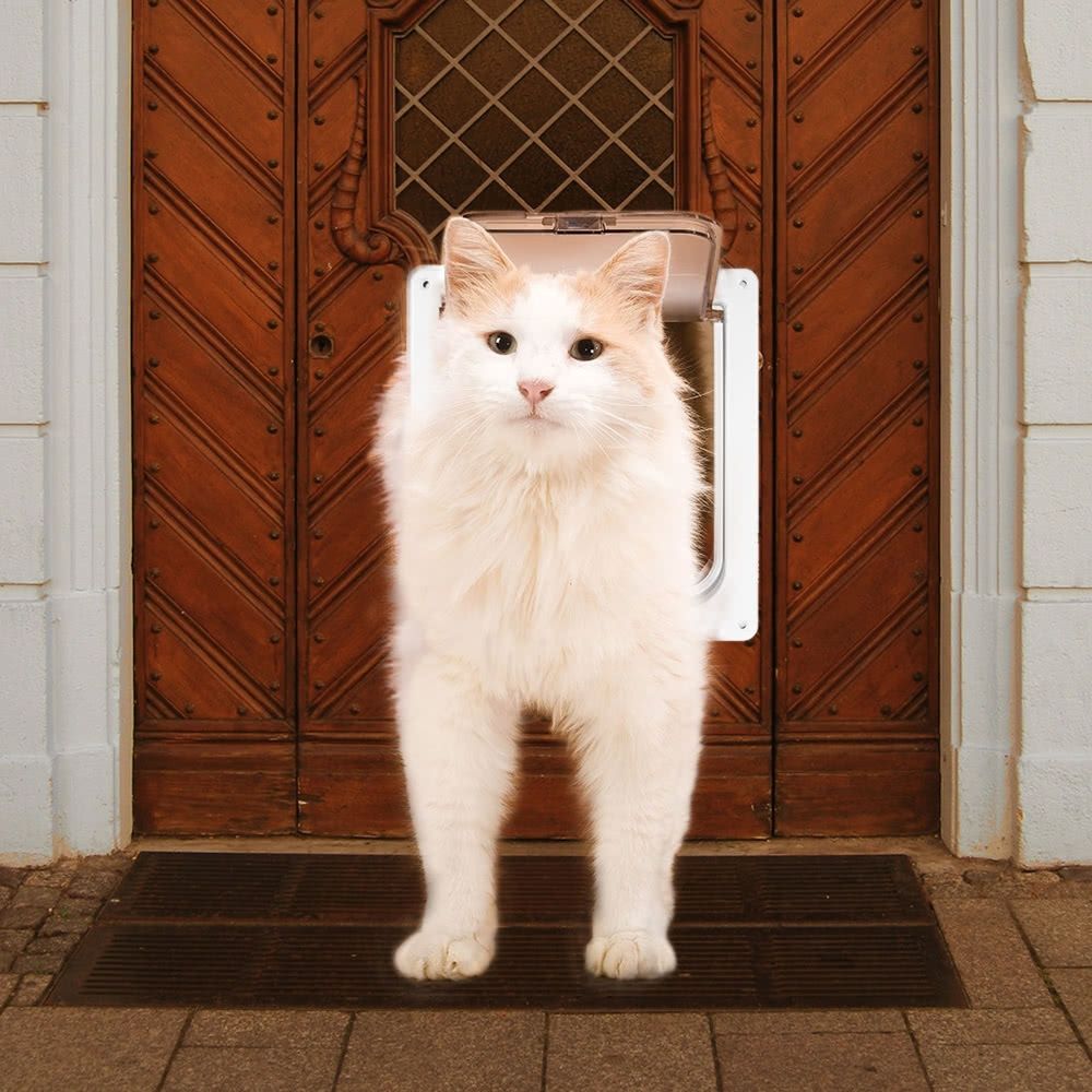 cat door company