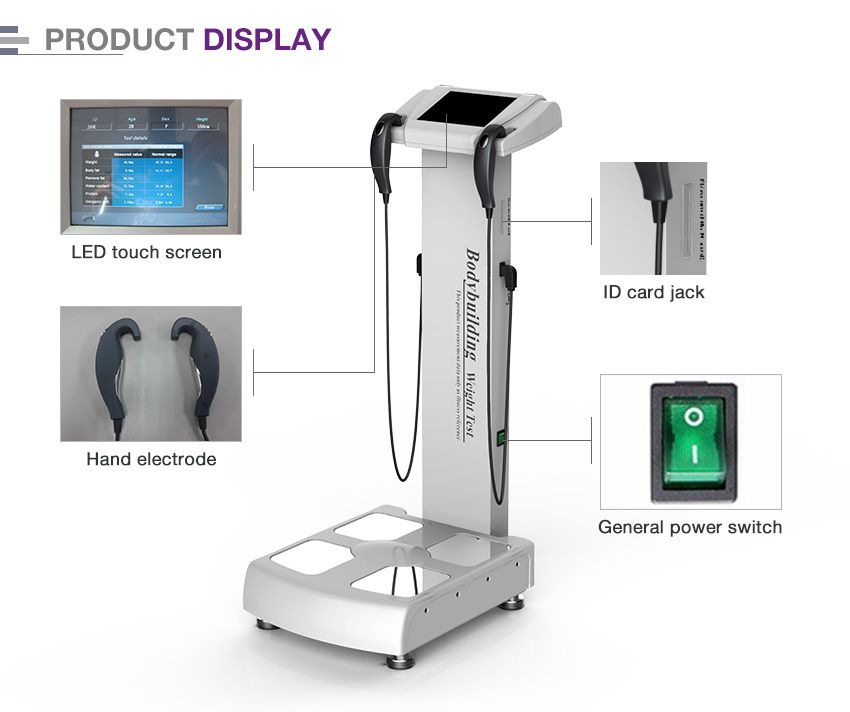 2020 GS6.5 Professional Full Body Fat Analyzer/Body Scanner Analyzer