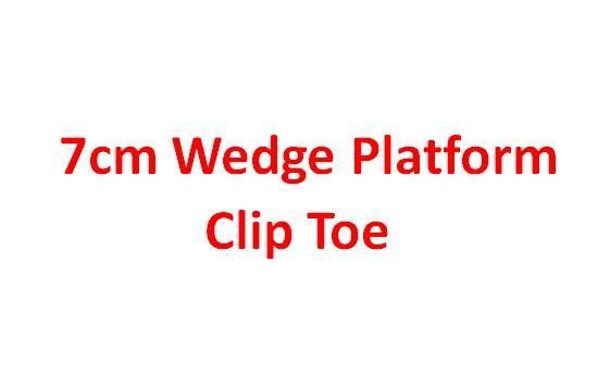 7cmwedge 플랫폼 CT.