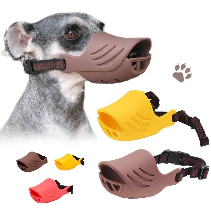 cute dog muzzle