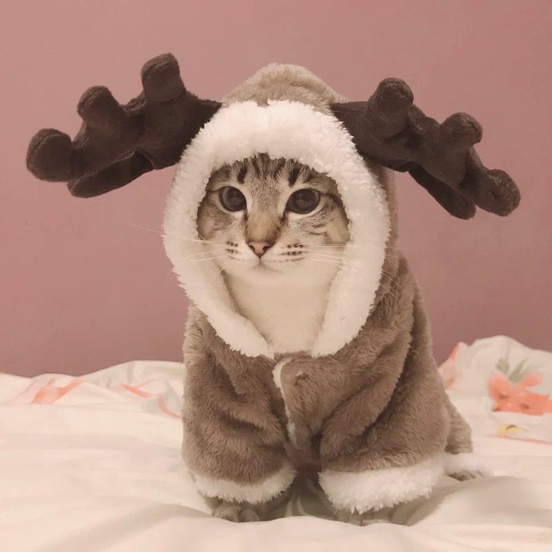 regalo del de Navidad del gato mascota vestuario de invierno cálido grueso y