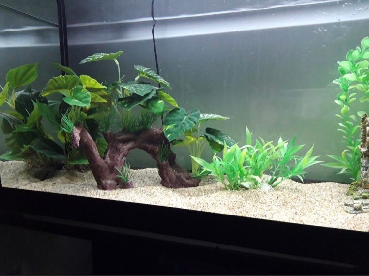 natural looking fish tank decorations