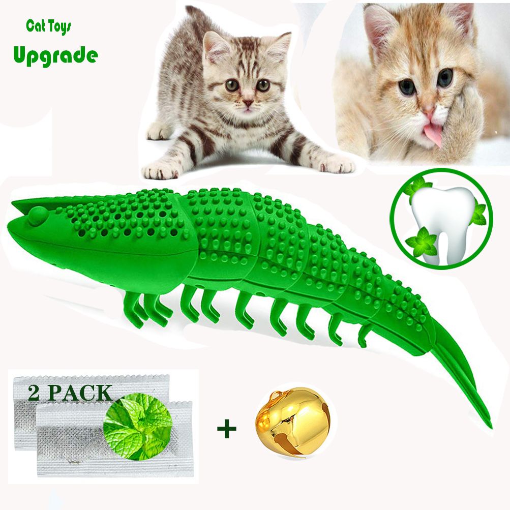 resistente Cepillo de dientes con hierba gatera para gatos 3 piezas resistente Cepillo de dientes con hierba gatera para gatos 3 piezas