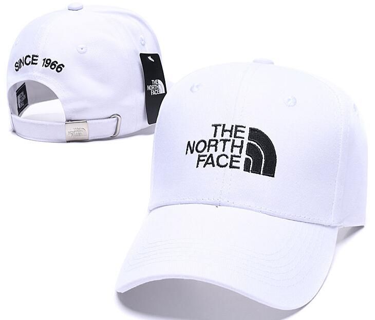 the north face 1966 cap