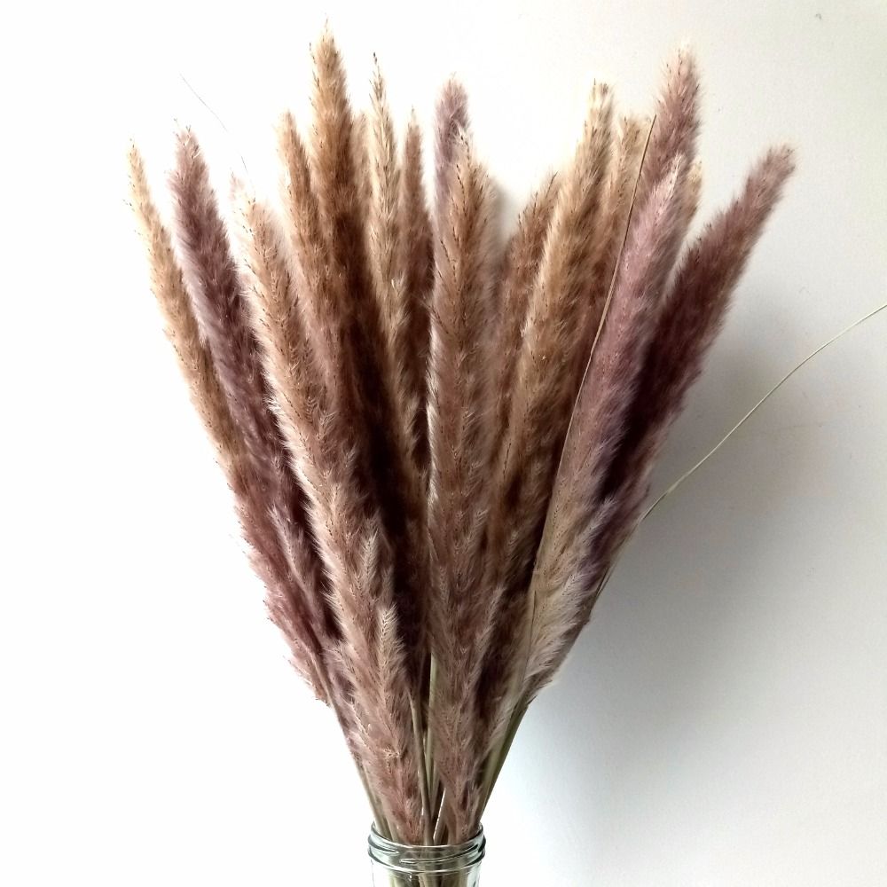 Naturelle Séchée De Pampa Herbe Phragmites Communis Reed Plante De Mariage  Fleur Bouquet 24 '' Haut pour La Décoration Intérieure