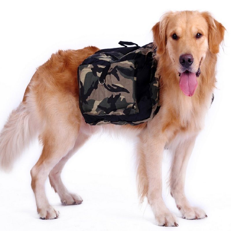 pet carrier for large dogs