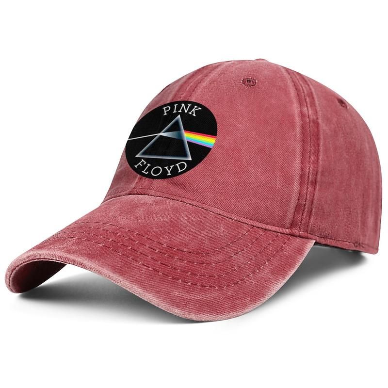pink floyd winter hat