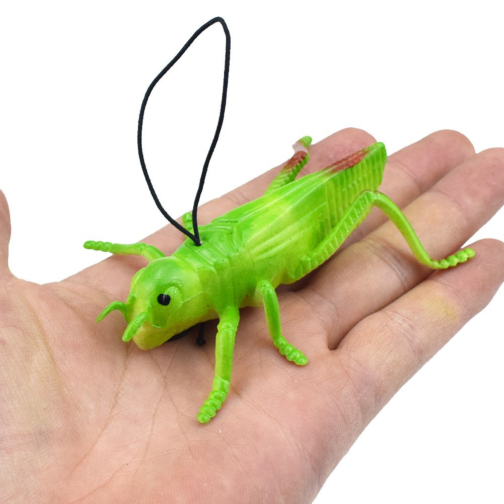 grasshopper toy