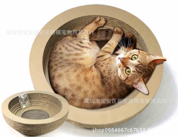 cat scratching bowl