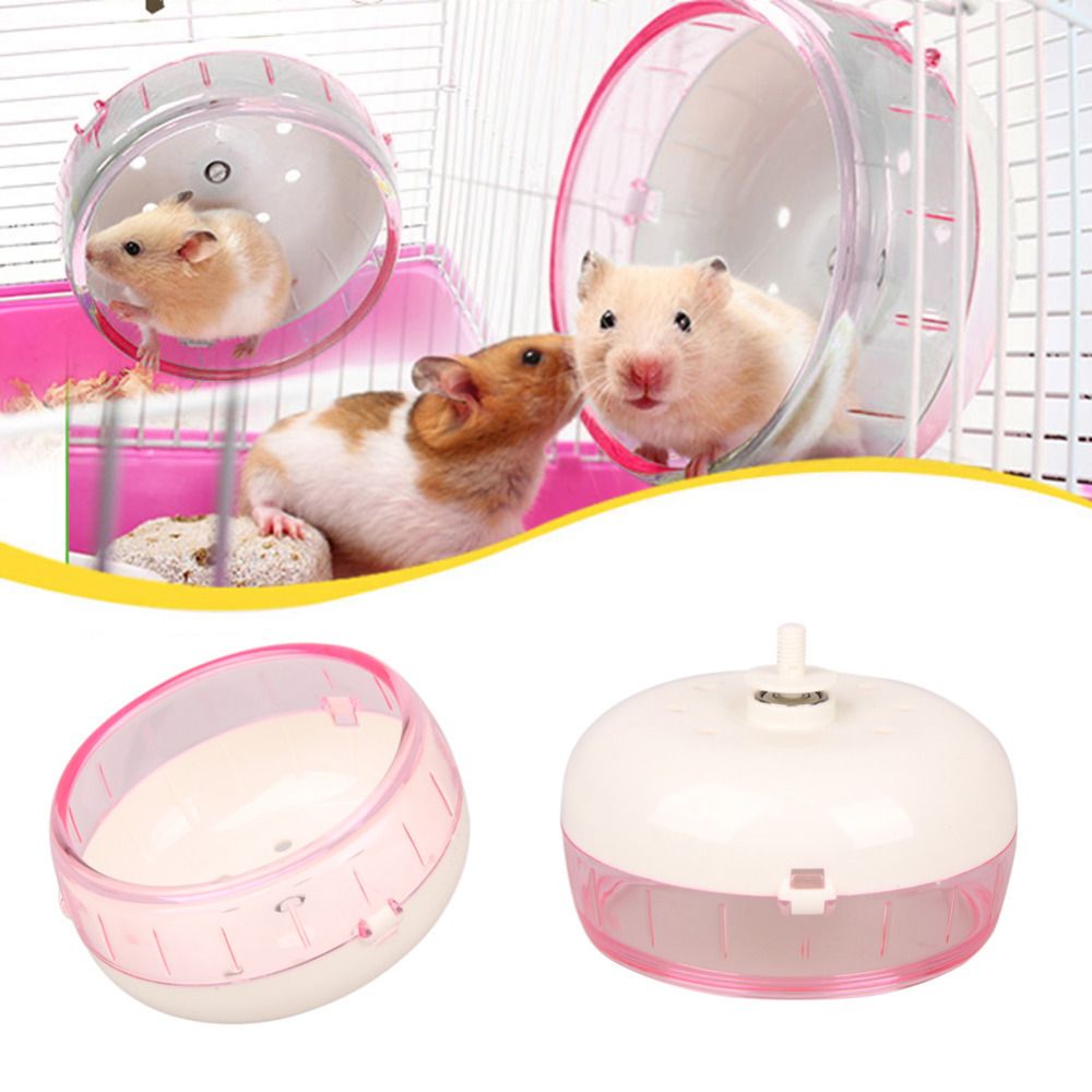 online hamster store