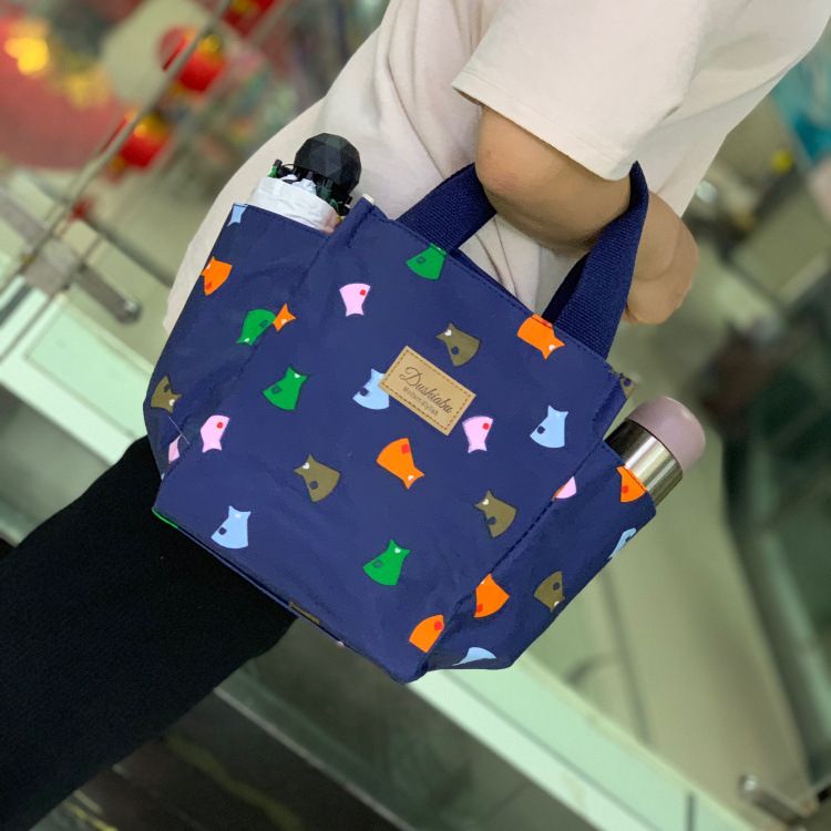 handbolsa style lunch bolsa