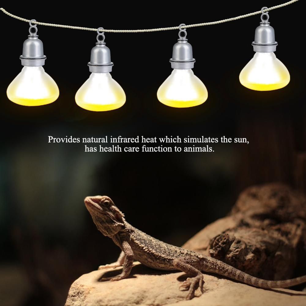 Bulb not Included Supports Both E26/E27 Socket Securely Clamps or Hangs in Your Turtle Lizard Snake Amphibian Tank Unique 360° Rotating Lamp Head 110-volt Heat Light Fixture for Reptiles