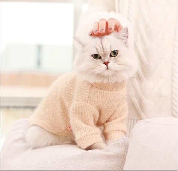 Yellow,Cat Clothes,Cute Female Care Clothing,Cute Pet Warm Autumn And  Winter Clothes For Cats From Supplierpro, $85.43