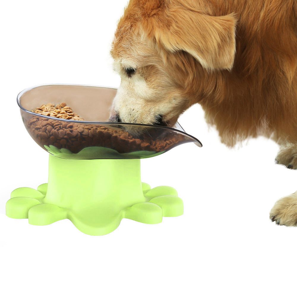 elevated pet food bowls