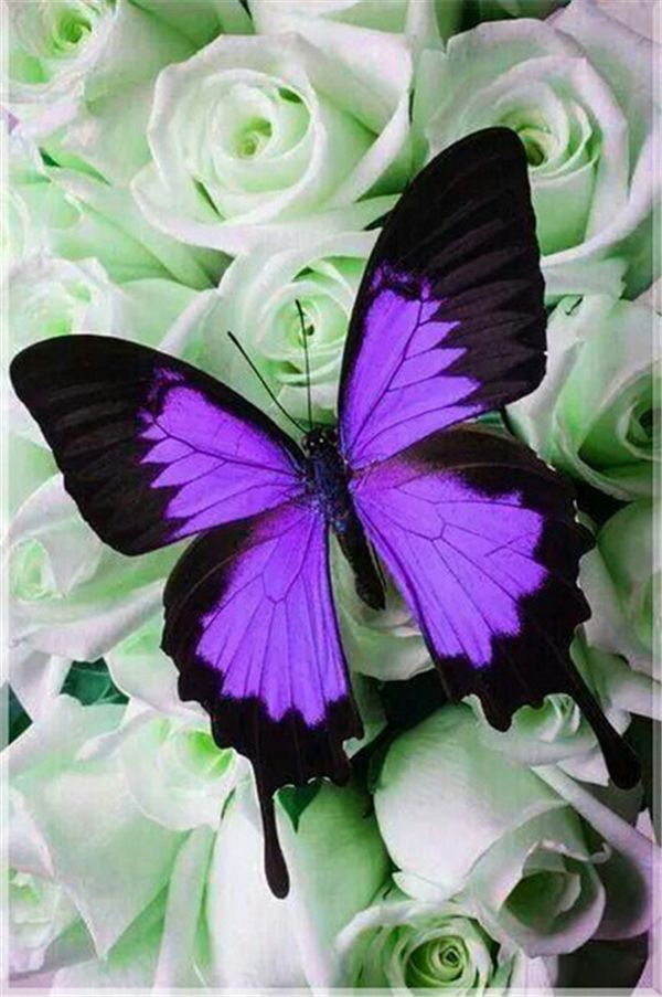 UK Full Drill Butterfly Flowers 5D Diamond Painting Cross Stitch Kit Nice