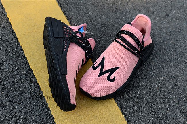 human race dragon ball