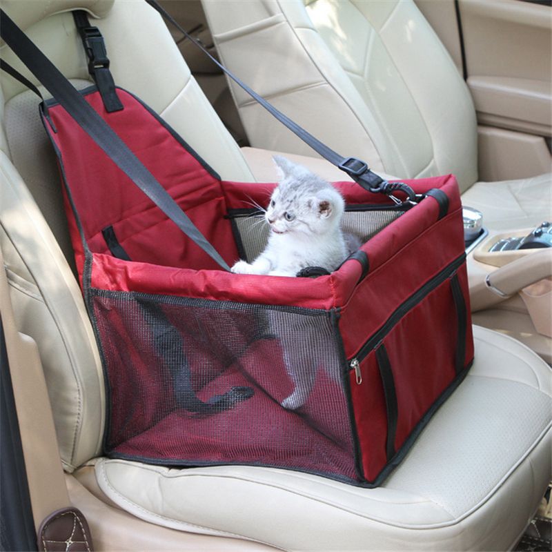cat car travel accessories