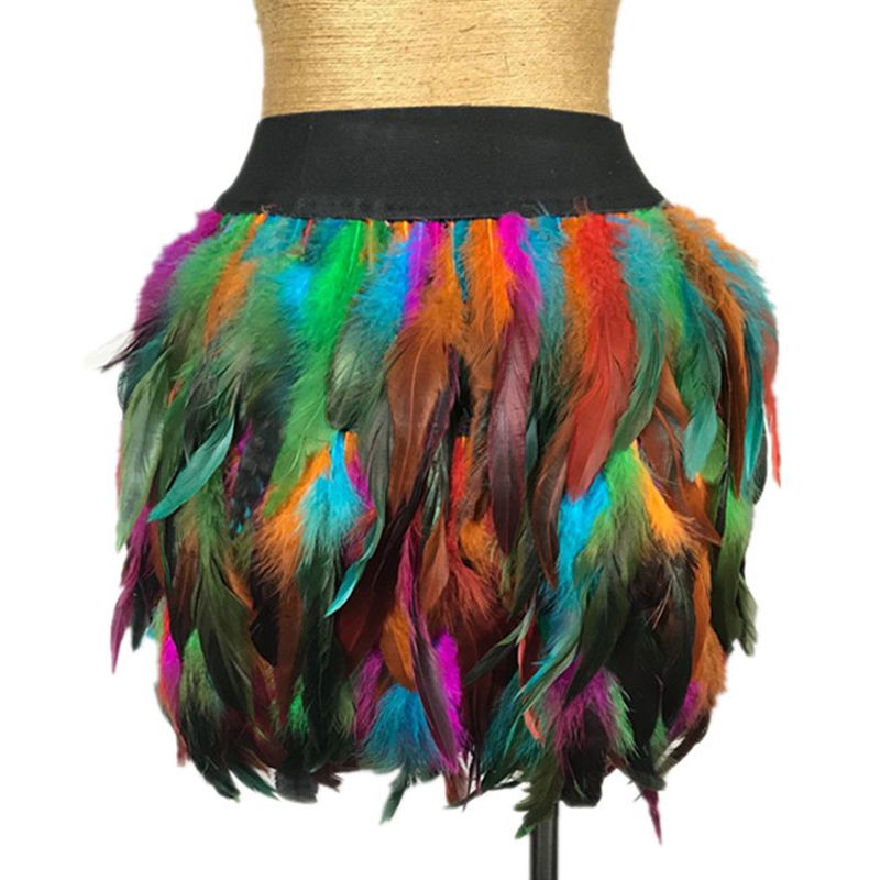 rainbow skirt feather