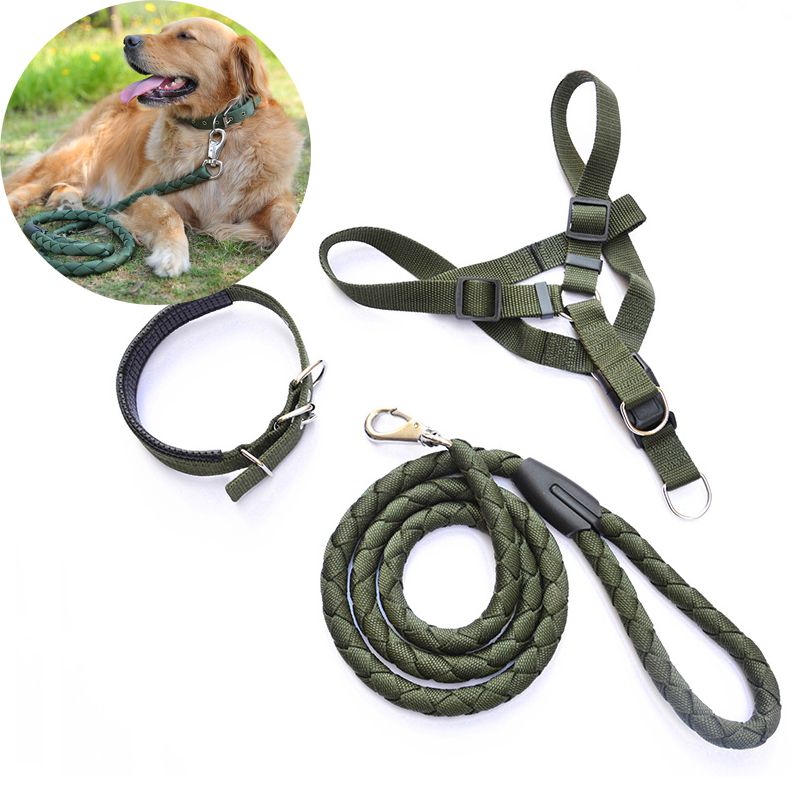 dog collar leash harness set