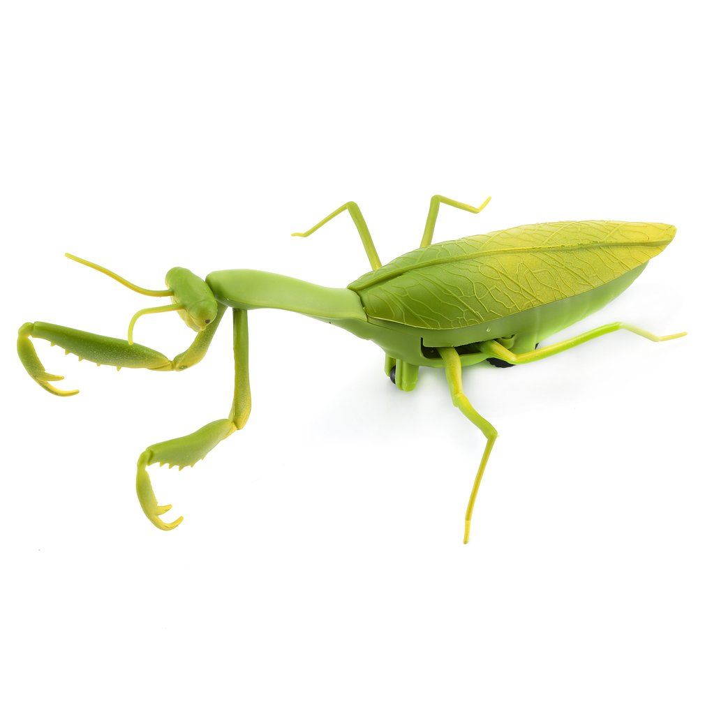 mantis toy