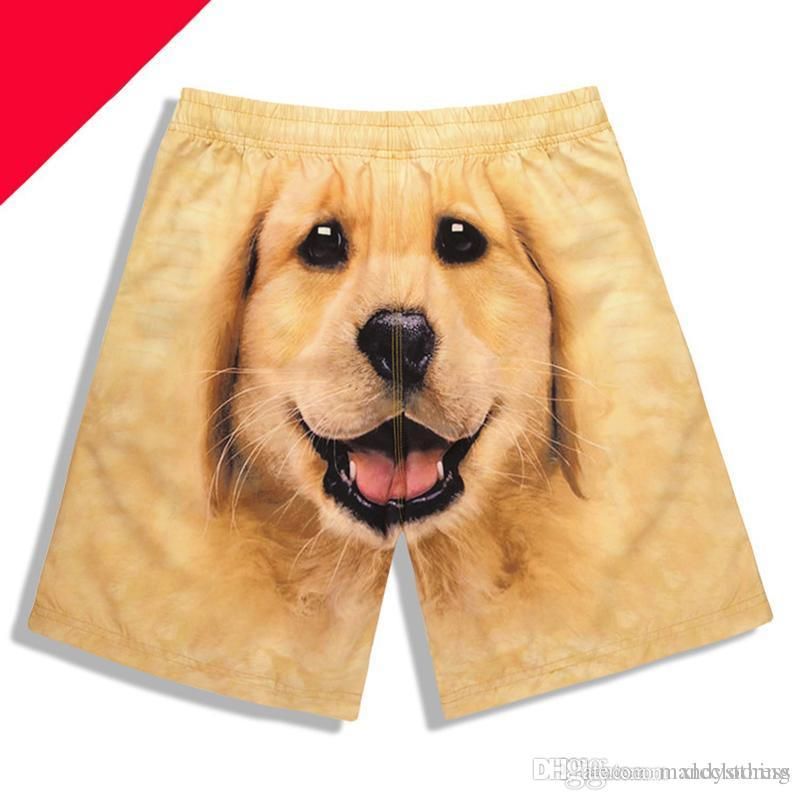 dog board shorts
