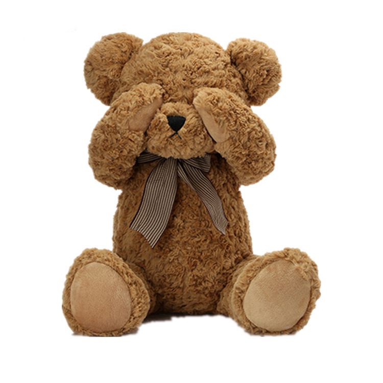 teddy bear with sound recording