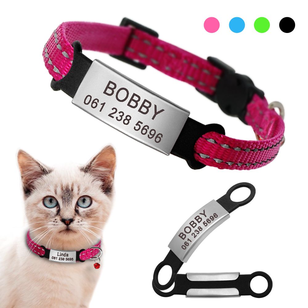 cat collar price