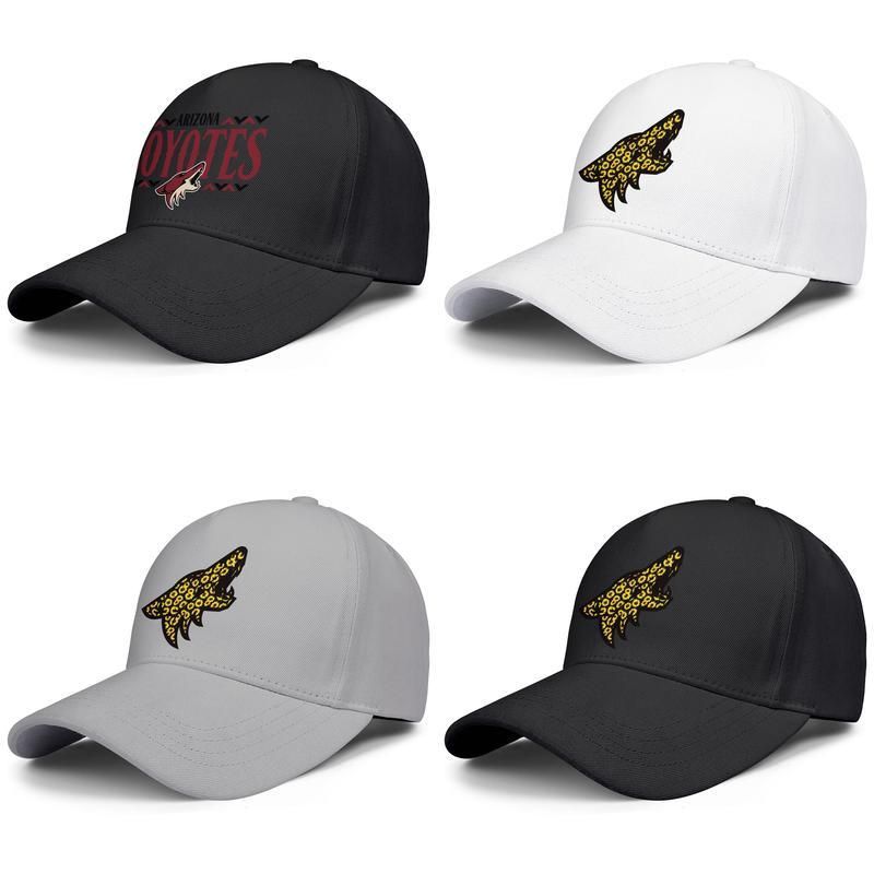 arizona coyotes vintage hat