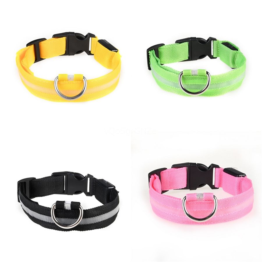 matching dog collar leash and harness