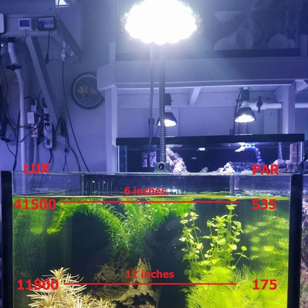 Fietstaxi enkel en alleen begrijpen Aquariums Lighting Par38 54W LED Aquarium Light E27 White 6500K Plant Grow  Bulb VEG For Freshwater Fish Tanks From Gor2don, $6.62 | DHgate.Com