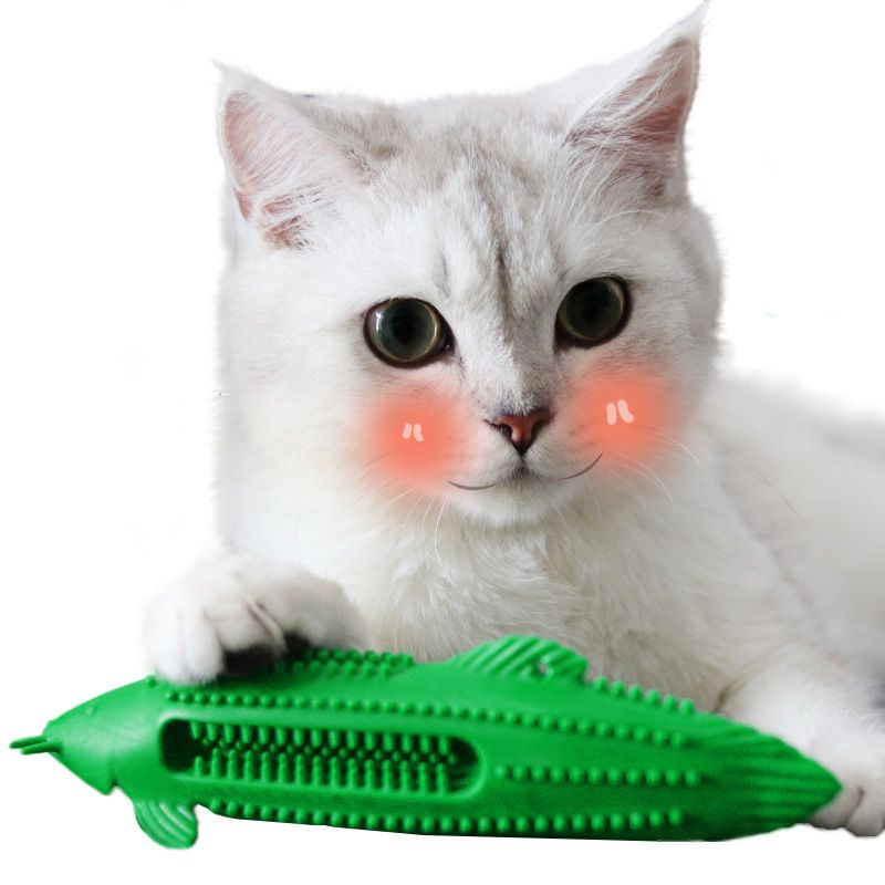 cat toothbrush toy