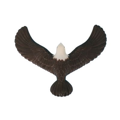 Grosshandel Balance Adler Balance Vogel Kreative Wissenschaft Dekompression Wissenschaft Bildung Spielzeug Weihnachten Geburtstagsgeschenke Neuheit Desktop Dekoration Handwerk Von Glorymfy 11 51 Auf De Dhgate Com Dhgate