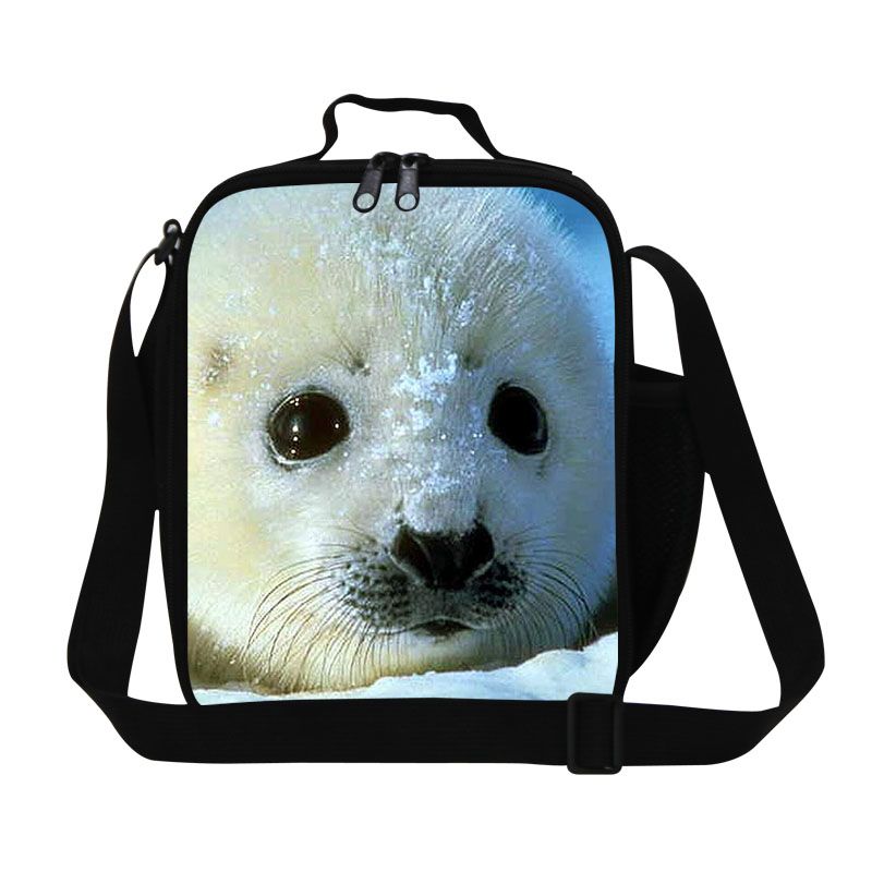 cute girly lunch boxes