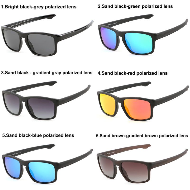 polarized sunglasses cost
