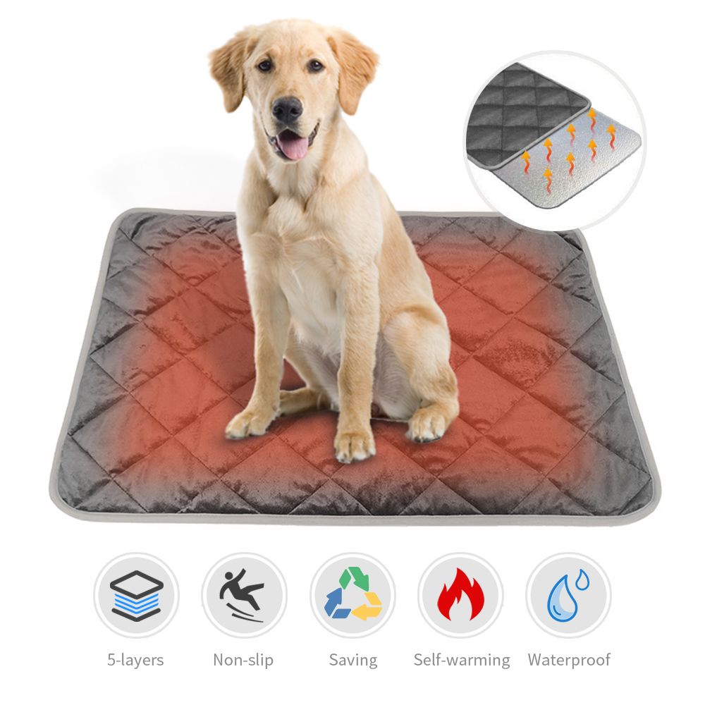 thermal dog blanket
