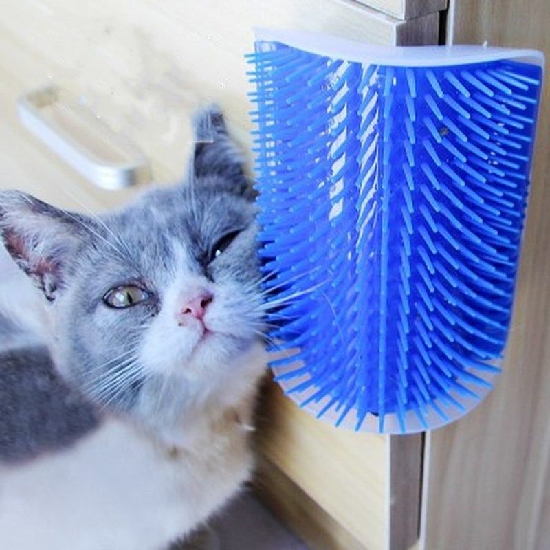 cat massage brush