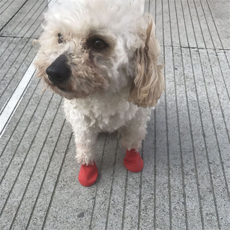 Supermercado Inhalar rápido Botas para mascotas Calcetines Medianos Zapatos para perros Zapatos  impermeables para la lluvia Zapatos antideslizantes de goma para cachorros  de perro Suministros para mascotas
