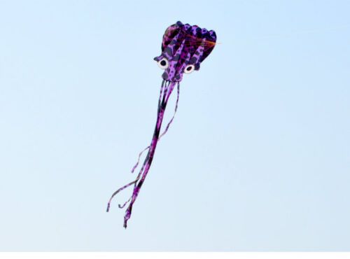 new 3D 5.5 meters Stunt huge octopus  POWER Sport Kite outdoor toy free shipping 