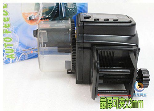2019 Feeding Fish Af 2009d Aquarium Fish Feeders Vacations