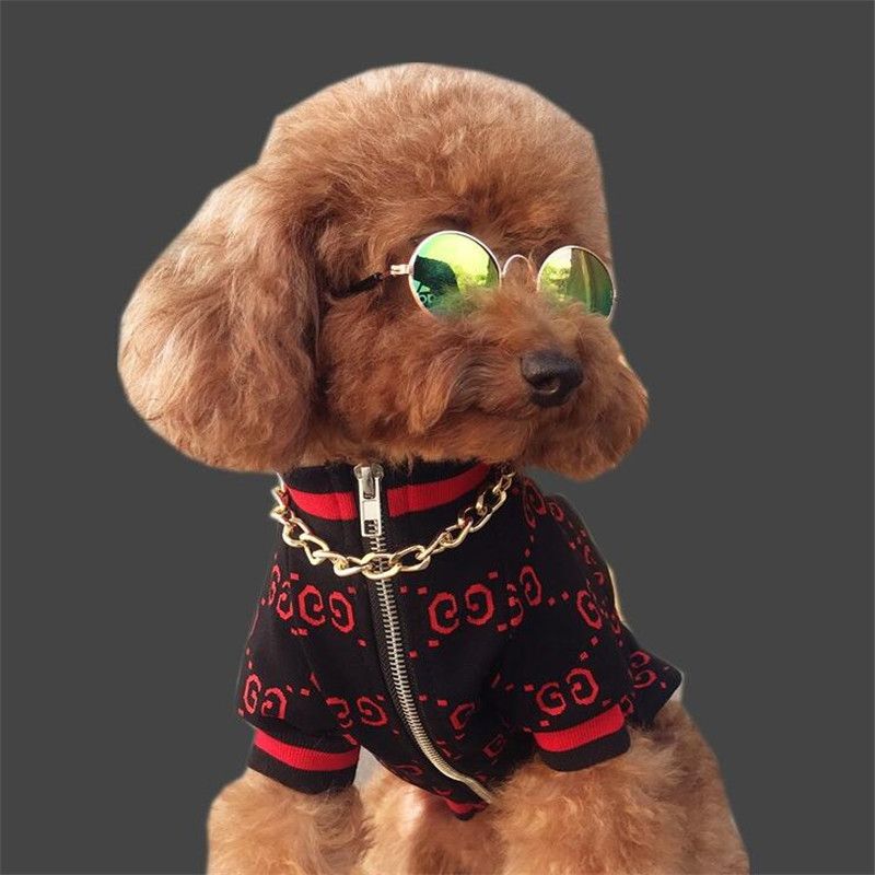 high fashion dog clothes