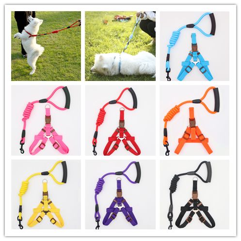 Cuerda De Perro Cachorro Tracción Estilo Moderno Accesorios Cuerda De Perro Cachorro Tracción Estilo Moderno Accesorios