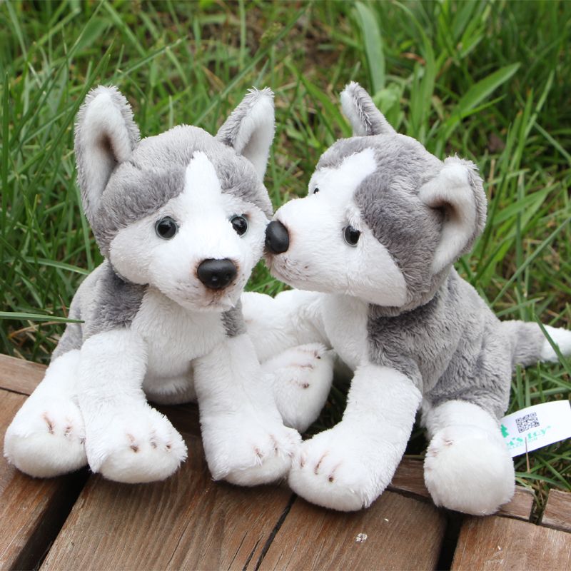 small simulation husky dog toy handicraft Polyethylene&fur husky doll 16x6x15cm small simulation husky dog toy handicraft Polyethylene&fur husky doll 16x6x15cm
