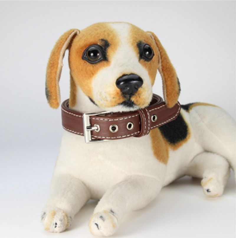 What Is A Safety Ring On A Dog Collar