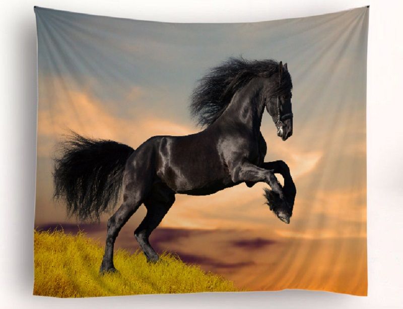 Get Housewarming presentes para casa de praia For Android Housewarming Presentes Para Casa De Praia