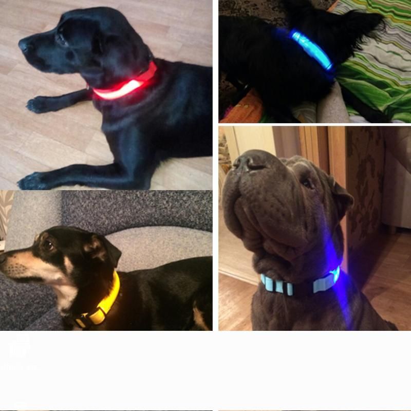 glow dark dog collars