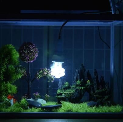 uvb aquarium light