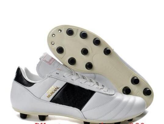 copa mundial leder