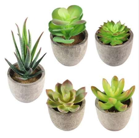 2019 Mini Artificial Plants Plastic Potted Landscape Succulents